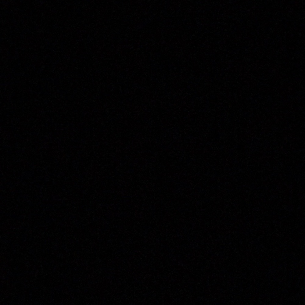 Meet your Posher, Ella